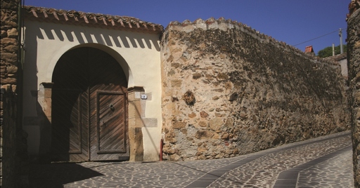 Curcuris