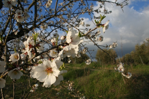 VillaVerde